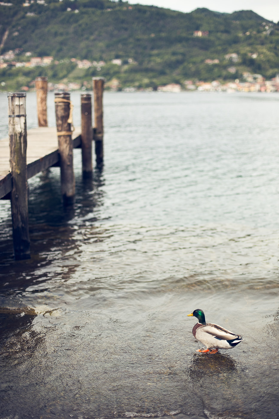 Lake Orta amazing place where to get married